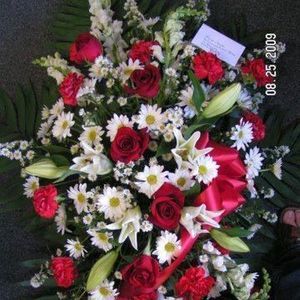 Meet your Posher, Lee